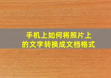 手机上如何将照片上的文字转换成文档格式