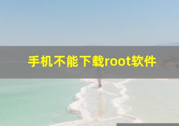 手机不能下载root软件