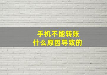 手机不能转账什么原因导致的