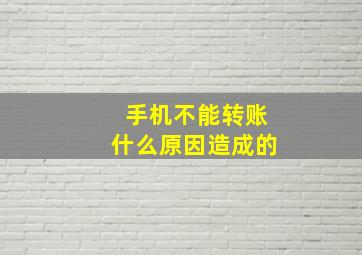 手机不能转账什么原因造成的