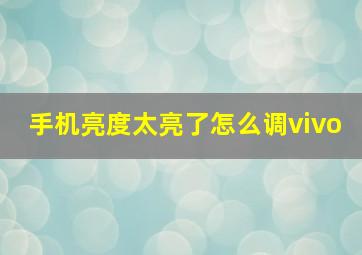 手机亮度太亮了怎么调vivo