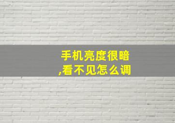 手机亮度很暗,看不见怎么调