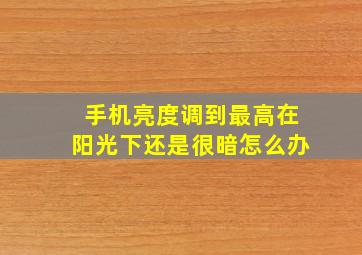 手机亮度调到最高在阳光下还是很暗怎么办