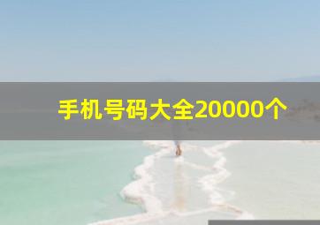 手机号码大全20000个