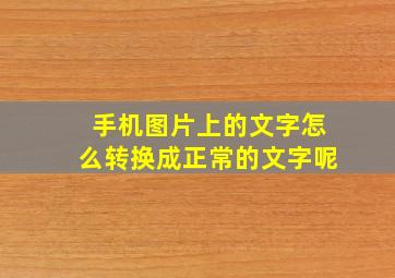 手机图片上的文字怎么转换成正常的文字呢