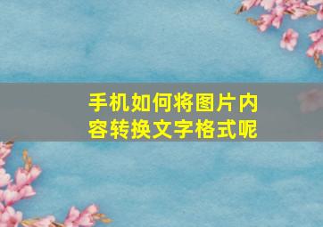 手机如何将图片内容转换文字格式呢