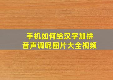 手机如何给汉字加拼音声调呢图片大全视频