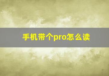 手机带个pro怎么读