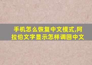 手机怎么恢复中文模式,阿拉伯文字显示怎样调回中文