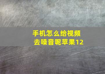 手机怎么给视频去噪音呢苹果12