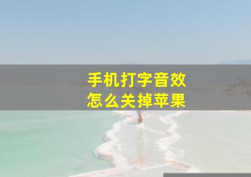 手机打字音效怎么关掉苹果