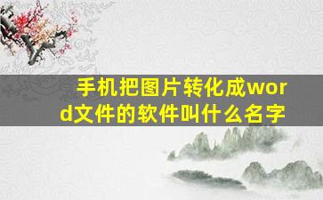 手机把图片转化成word文件的软件叫什么名字