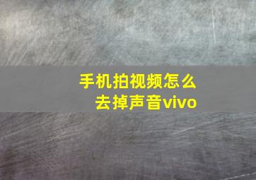 手机拍视频怎么去掉声音vivo