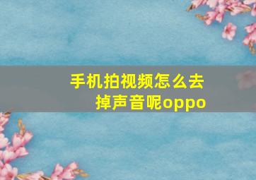 手机拍视频怎么去掉声音呢oppo