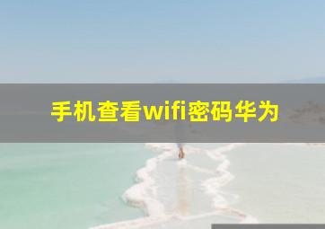 手机查看wifi密码华为