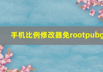 手机比例修改器免rootpubg