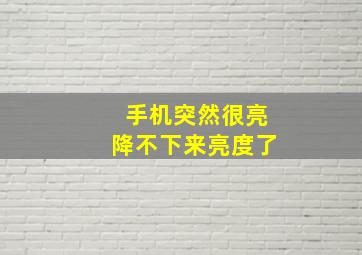 手机突然很亮降不下来亮度了