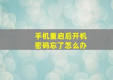 手机重启后开机密码忘了怎么办