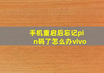 手机重启后忘记pin码了怎么办vivo