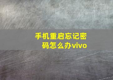 手机重启忘记密码怎么办vivo