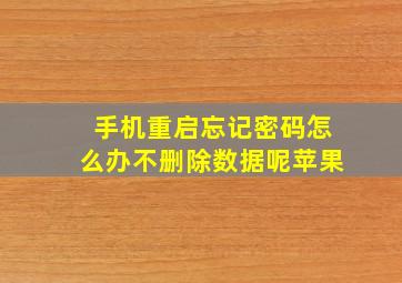 手机重启忘记密码怎么办不删除数据呢苹果