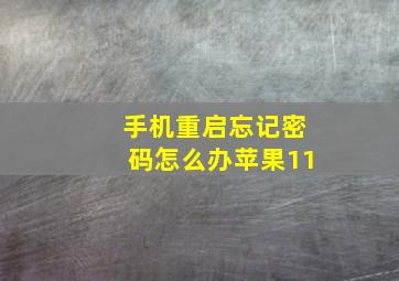 手机重启忘记密码怎么办苹果11