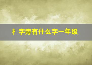 扌字旁有什么字一年级