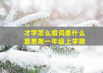 才字怎么组词是什么意思呢一年级上学期