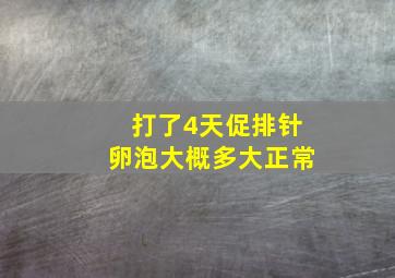 打了4天促排针卵泡大概多大正常