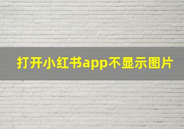 打开小红书app不显示图片