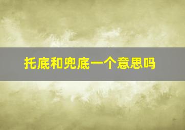 托底和兜底一个意思吗