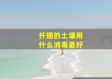 扦插的土壤用什么消毒最好