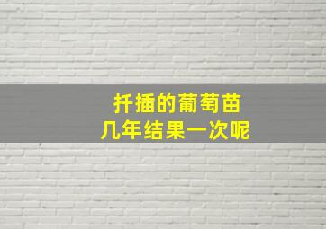 扦插的葡萄苗几年结果一次呢