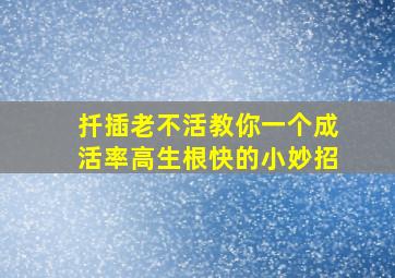 扦插老不活教你一个成活率高生根快的小妙招