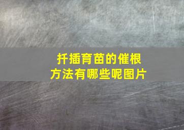 扦插育苗的催根方法有哪些呢图片