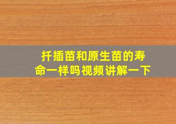 扦插苗和原生苗的寿命一样吗视频讲解一下