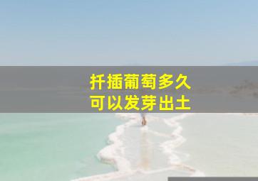 扦插葡萄多久可以发芽出土