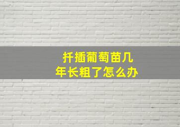 扦插葡萄苗几年长粗了怎么办