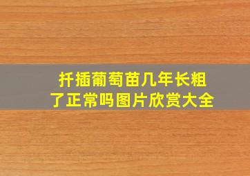 扦插葡萄苗几年长粗了正常吗图片欣赏大全