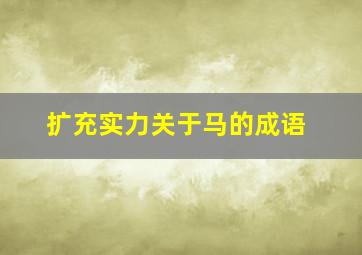 扩充实力关于马的成语