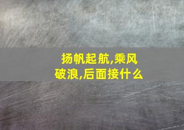 扬帆起航,乘风破浪,后面接什么