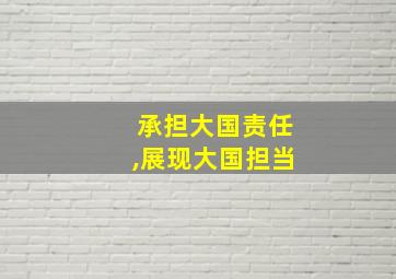 承担大国责任,展现大国担当