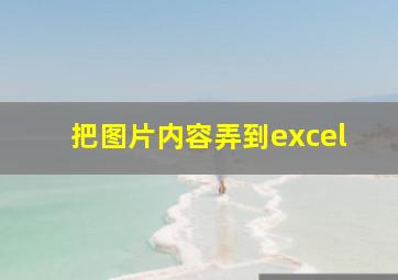 把图片内容弄到excel