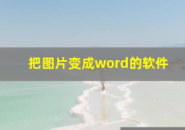 把图片变成word的软件