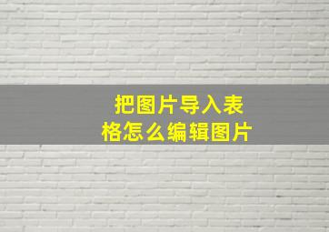 把图片导入表格怎么编辑图片