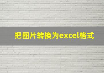 把图片转换为excel格式