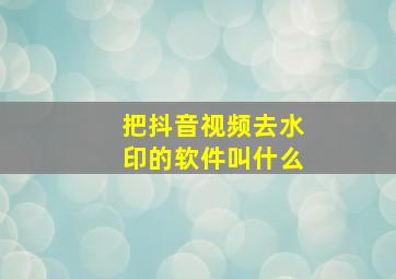 把抖音视频去水印的软件叫什么