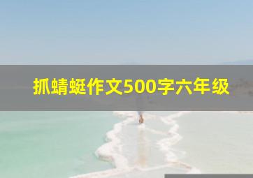 抓蜻蜓作文500字六年级