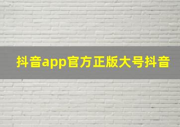 抖音app官方正版大号抖音