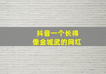 抖音一个长得像金城武的网红